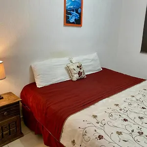 https://casa-nueva-con-3-recamaras-y-a-un-lado-de-alberca.quintano-roohotels.com